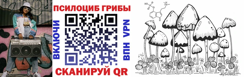 Галлюциногенные грибы Psilocybine cubensis  ОМГ ОМГ ссылка  Белинский  купить наркотики цена 